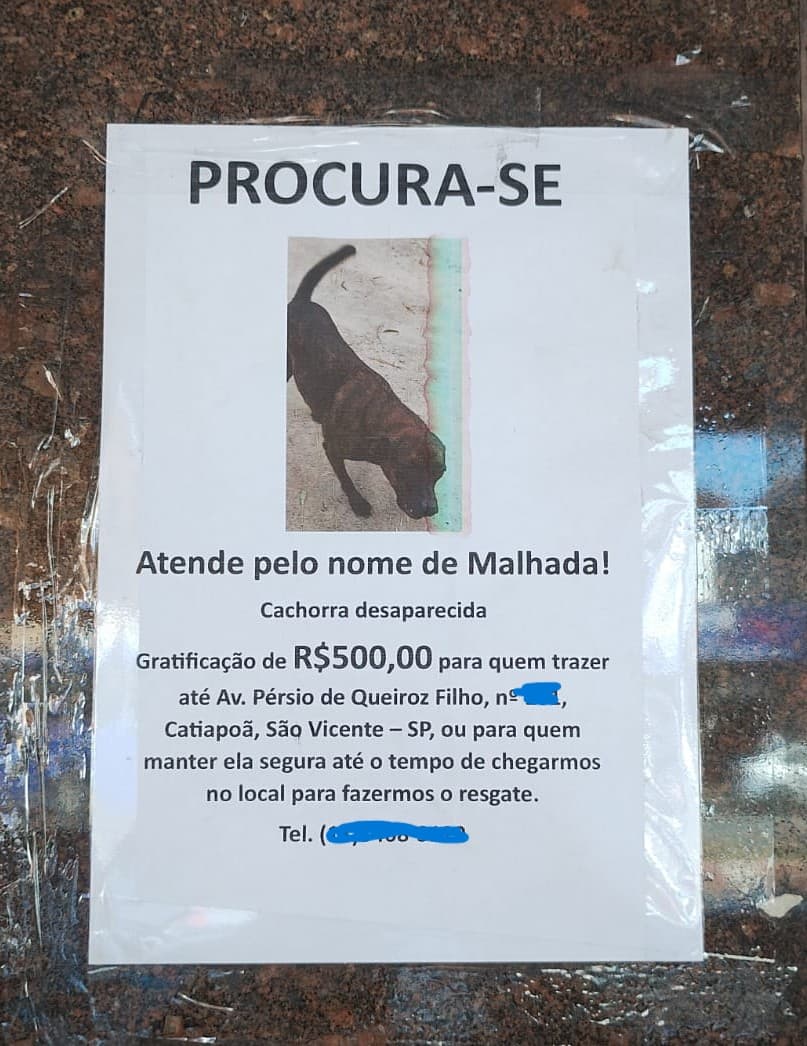 Cartaz de pet perdido impresso em papel